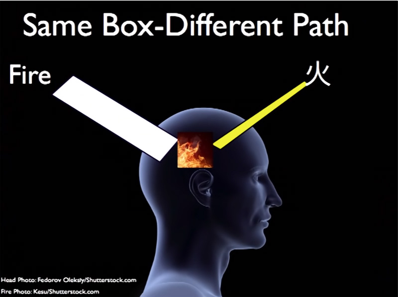 同じ箱、異なる道
