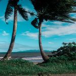 フィジアンマジック