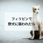 フィリピンで野犬に襲われたら
