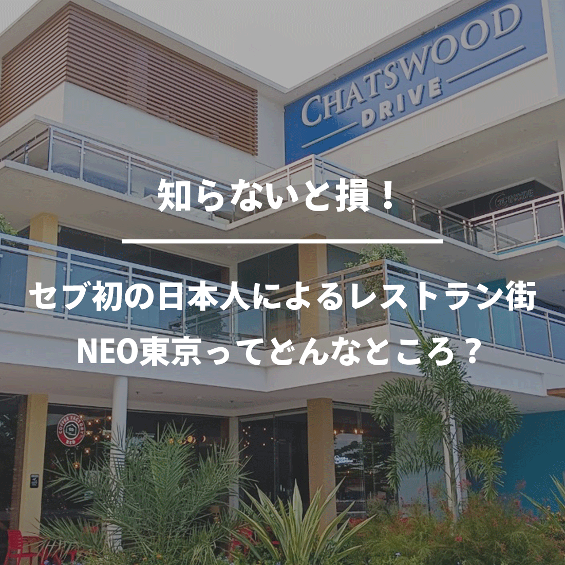 知らないと損！セブ初の日本人によるレストラン街　NEO東京ってどんなところ？